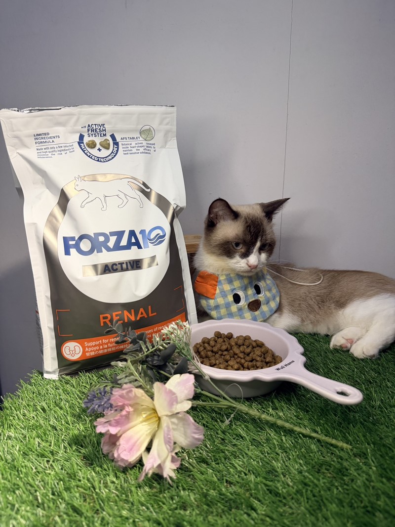 FORZA10 芙爾莎 腎臟配方(貓)｜咪魯的腎臟保健分享，日常飲食管理好選擇