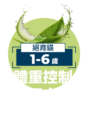 黃色圓圈（WEIGHT CONTROL）